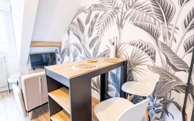 Appartement 1 Chambre