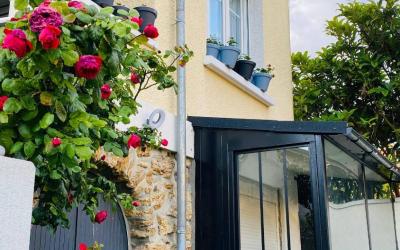 Appartement 1 Chambre Appartement 1 Chambre