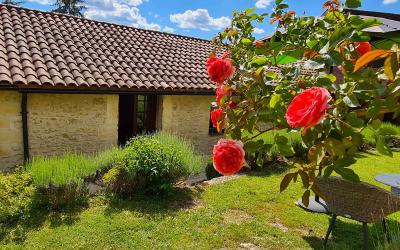 Chambre Double ou Lits Jumeaux Supu00e9rieure avec Terrasse Chambre Double ou Lits Jumeaux Supu00e9rieure avec Terrasse