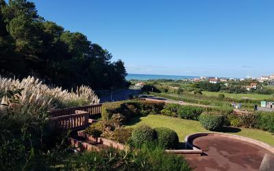 Appartement 1 Chambre Appartement 1 Chambre