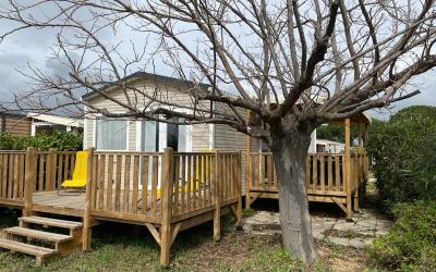 Mobile Home