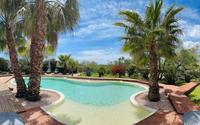 Appartement 1 Chambre