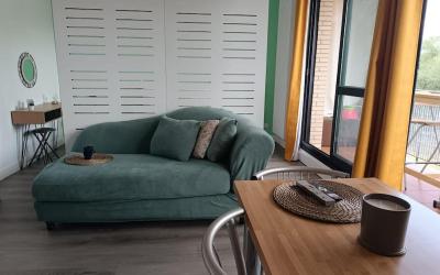 Appartement 1 Chambre