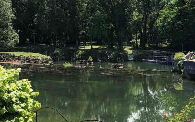 Appartement 1 Chambre