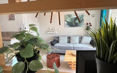 Appartement 1 Chambre