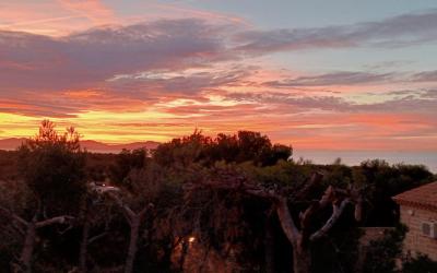 Appartement 2 Chambres