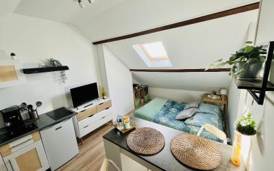Appartement 1 Chambre