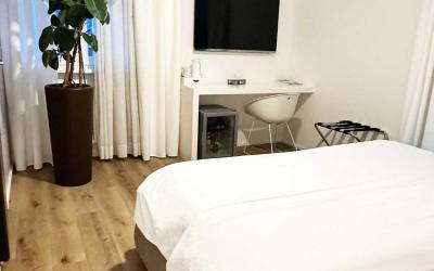 Camera Deluxe Matrimoniale o Doppia con Letti Singoli 