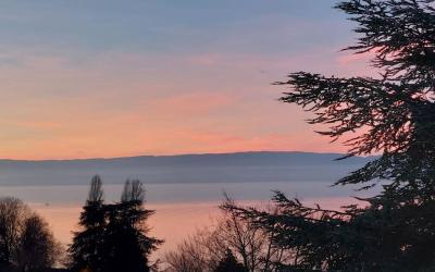 Appartement 1 Chambre Appartement 1 Chambre