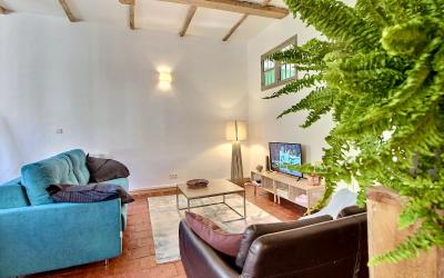 Appartement 1 Chambre