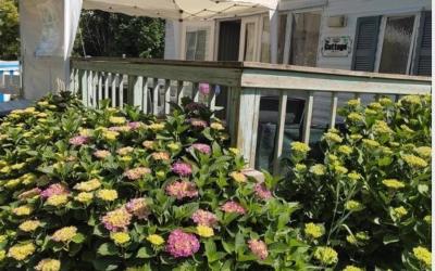 Mobile Home