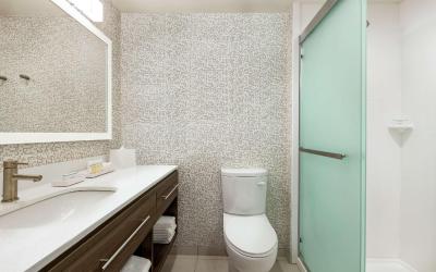 King Studio Suite - Hearing Access/Non-Smoking