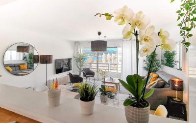 Appartement Supu00e9rieur Appartement Supu00e9rieur