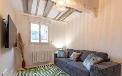 Appartement 1 Chambre