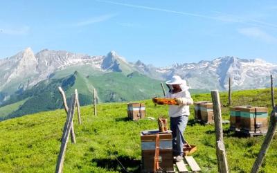 Appartement 3u00a0Chambres