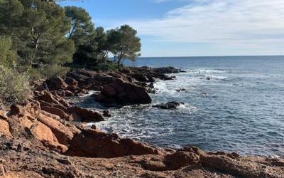 Appartement 1 Chambre Appartement 1 Chambre