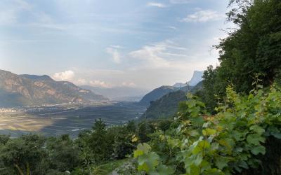 Suite con 1 Camera da Letto