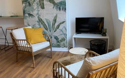 Appartement 1 Chambre