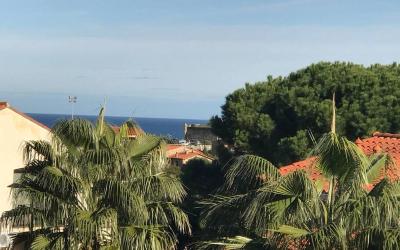 Appartement 1 Chambre Appartement 1 Chambre