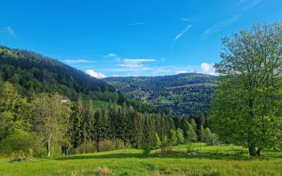 Chambre Double - Vue sur Montagne Chambre Double - Vue sur Montagne
