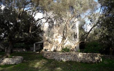 Maison 1 Chambre Maison 1 Chambre