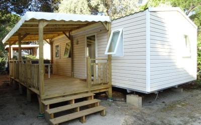 Mobile Home