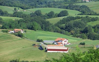 Appartement avec Balcon