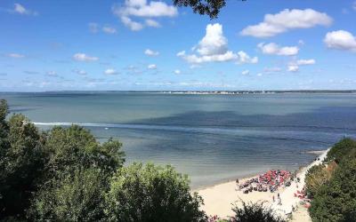 Appartement 1 Chambre