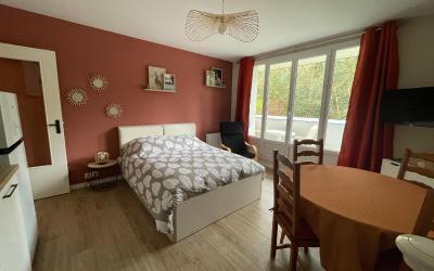 Appartement 1 Chambre
