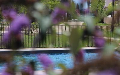 Appartement 1 Chambre