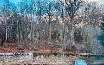 Chambre Double Chambre Double