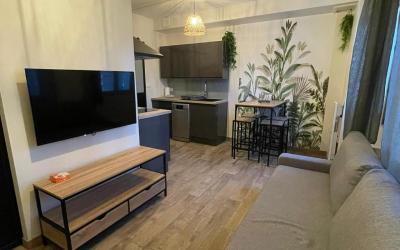 Appartement 1 Chambre