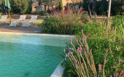 Chambre Lits Jumeaux - Vue sur Jardin Chambre Lits Jumeaux - Vue sur Jardin