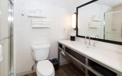 Junior King Suite with Sofa Bed