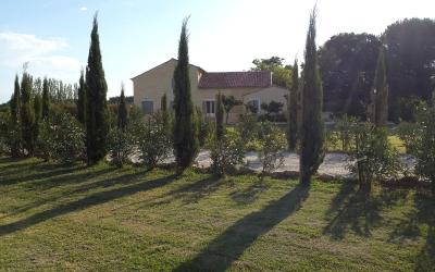 Appartement 1 Chambre