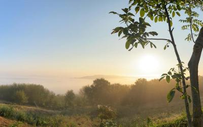 Maison de Vacances (5 Adultes)