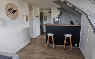 Appartement 1 Chambre