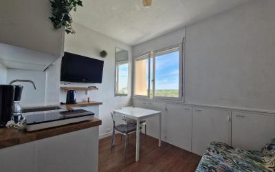 Appartement 1 Chambre