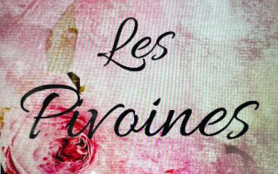 Appartement Deluxe Appartement Deluxe