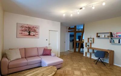 Appartement 1 Chambre