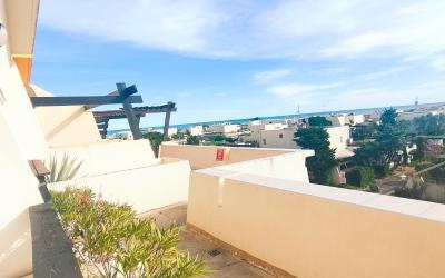 Appartement 1 Chambre