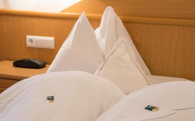 Camera Matrimoniale con Vista Giardino