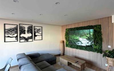 Appartement 1 Chambre