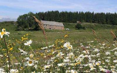 Maison 1 Chambre Maison 1 Chambre