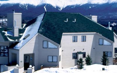 Traditional Townhome 4 Bedroom Forest Cottage