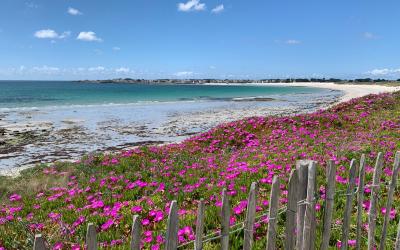 Maison de Vacances Maison de Vacances