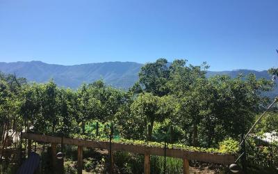 Chalet 2 Chambres Chalet 2 Chambres