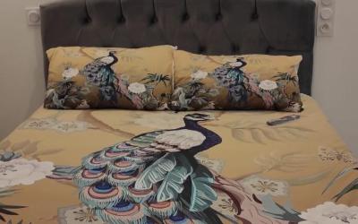Appartement 1 Chambre