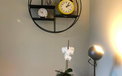 Appartement 1 Chambre