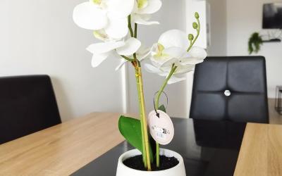 Appartement 3u00a0Chambres Appartement 3u00a0Chambres